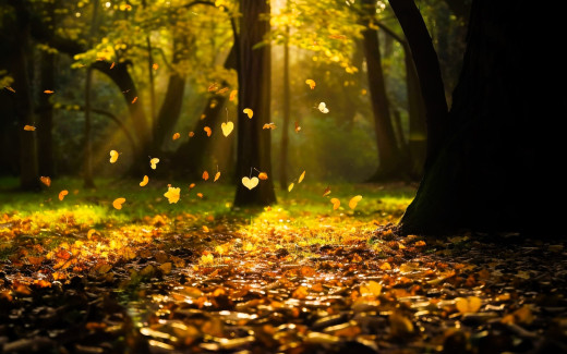 �1754261 �������(a): ����������:1920x1200